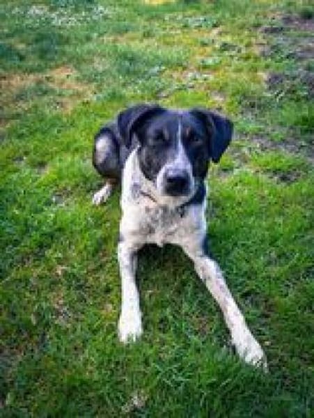 Olivia - die gelassene Schöne