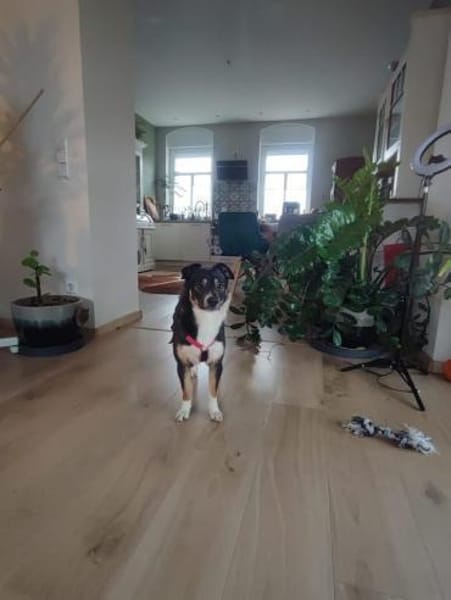 SELINA ist einfach zum Verlieben ♥