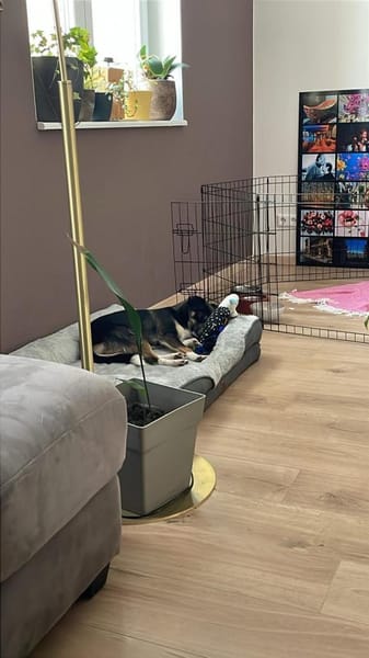 SELINA ist einfach zum Verlieben ♥