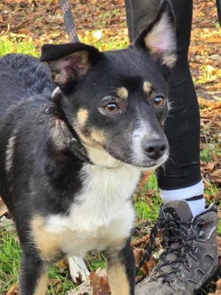 SELINA ist einfach zum Verlieben ♥