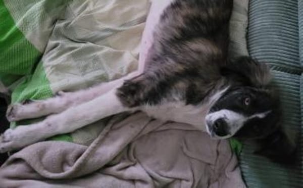 Amaris ist bereit für ein neues Leben