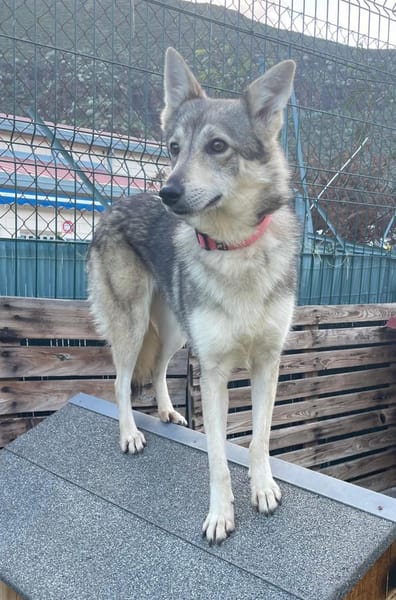 LOBITA 💝 unsere Rarität