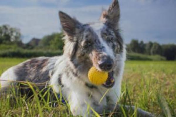 MALIN hat ein Faible für Frauen