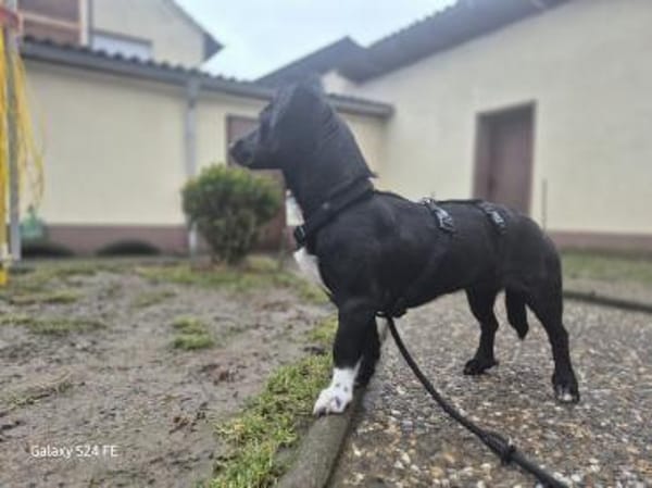 Fanny hat einen Herzenswunsch