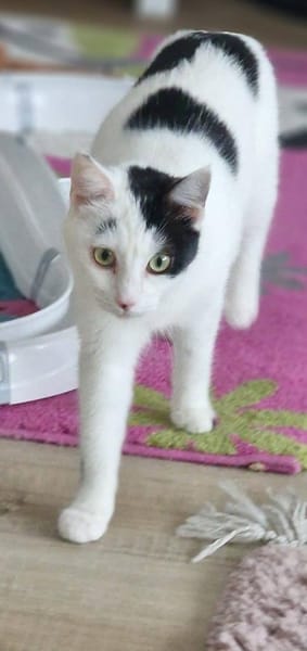 Bonny & Clyde tolles Duo