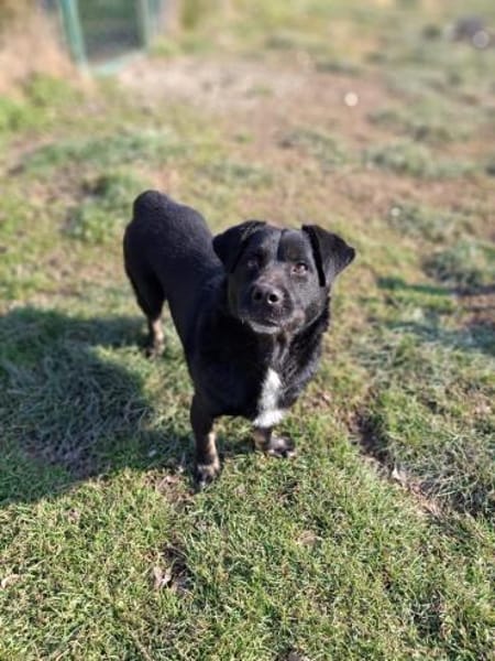 Benjie möchte in sein eigenes Zuhause