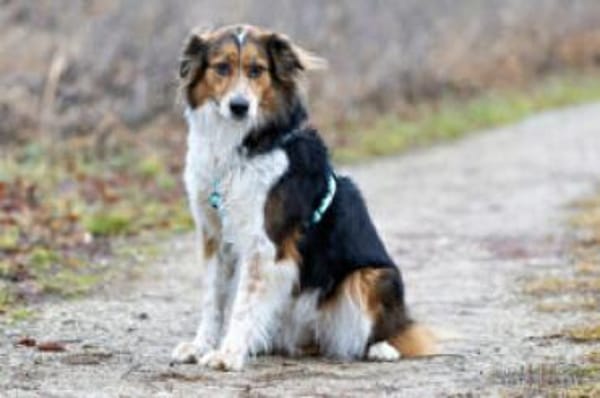 LUCIANE - aufgeschlossen&sehr freundlich