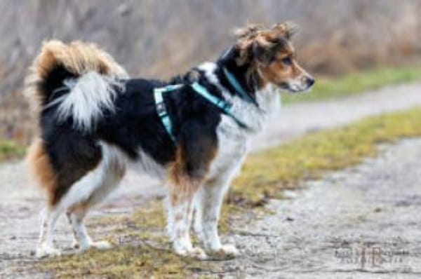 LUCIANE - aufgeschlossen&sehr freundlich