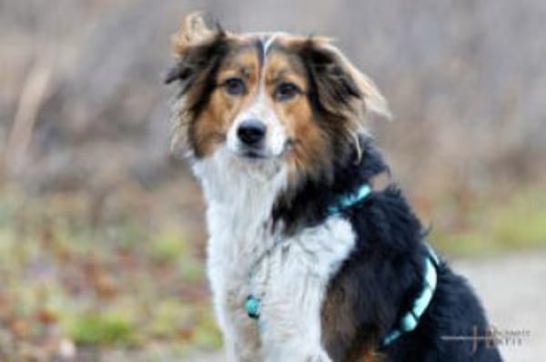 LUCIANE - aufgeschlossen&sehr freundlich