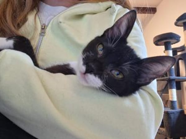 Wirbelwind Millie 5 Monate jung