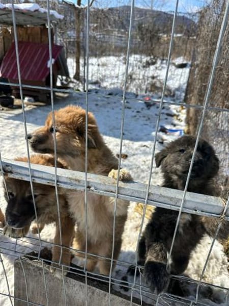 Yannick, wie Müll entsorgt