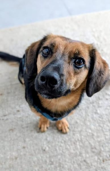 Mucki  sportliche Entdeckerin