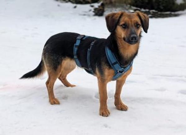 Mucki  sportliche Entdeckerin