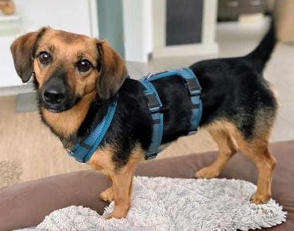 Mucki  sportliche Entdeckerin