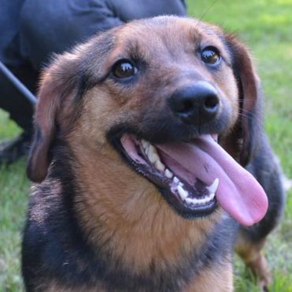 Mucki  sportliche Entdeckerin