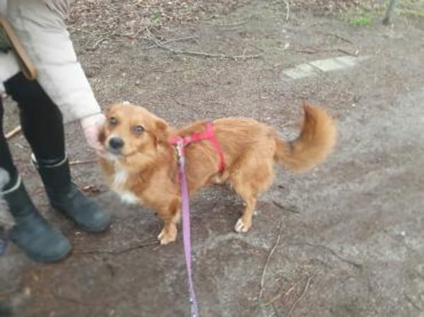 Cooler Axel braucht Körbchen 🍀