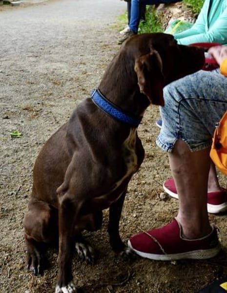 Asia, sozial, lernwillig, freundlich