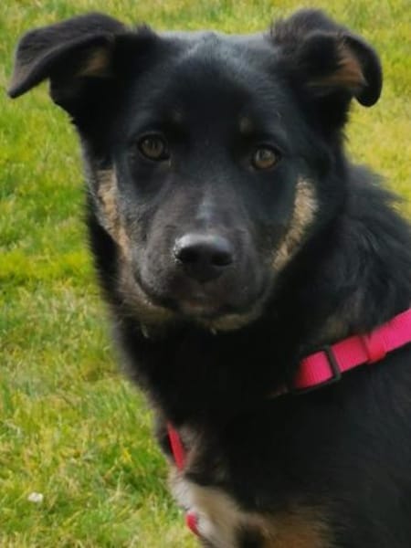 Zuckersüße Polly wartet auf ihre Familie