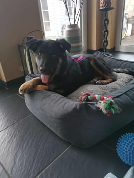 Zuckersüße Polly wartet auf ihre Familie