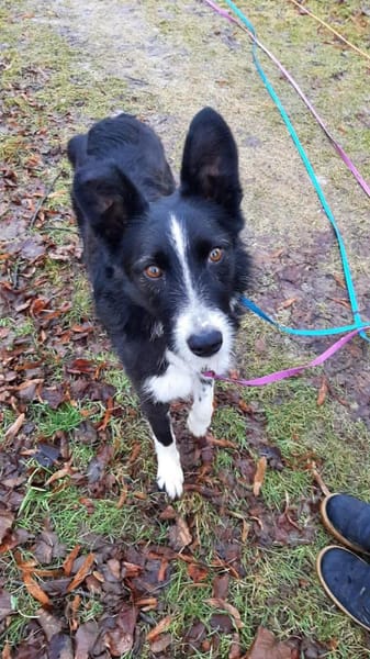 Talvi - hat Sonne im Herzen 🐾