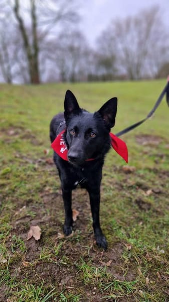 Schönheit Emma in 45138 Essen