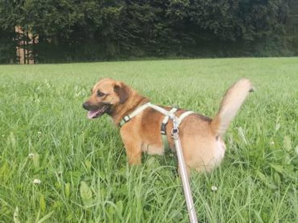 Liebevoller Bernd sucht seine Familie