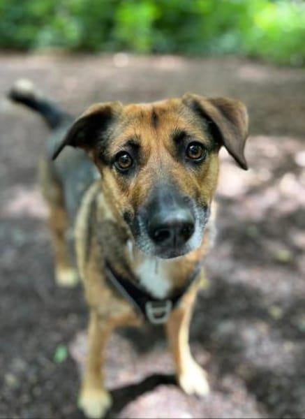 🐾🫶Cathy🫶🐾