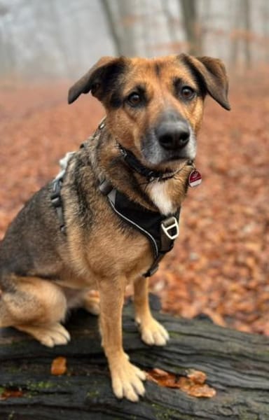 🐾🫶Cathy🫶🐾