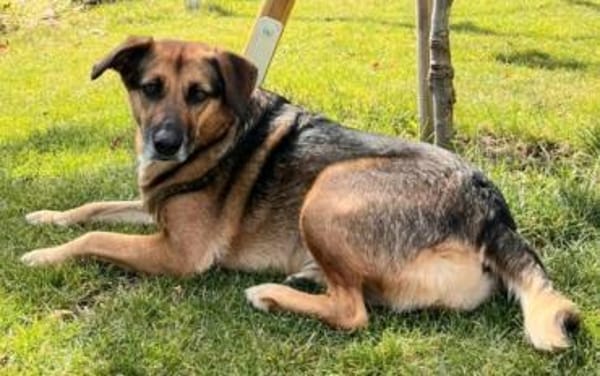 🐾🫶Cathy🫶🐾