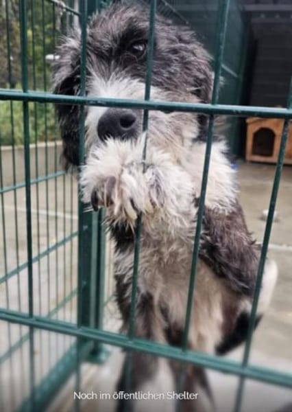 Zora ❤ mit großem Herz