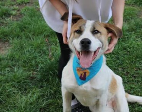 Yaro hat seinen Koffer schon gepackt