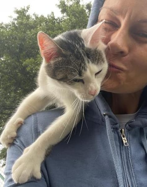 Luna sucht dringend Für-immer-Zuhause