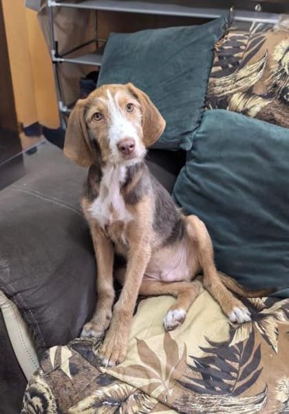 Rudolph einfach nur toll