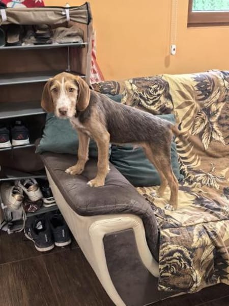 Rudolph einfach nur toll