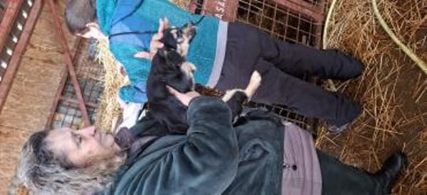 🐾 Welpe Inga sucht ihr Zuhause