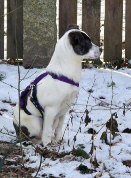 süße Ulla auf PS in 90475