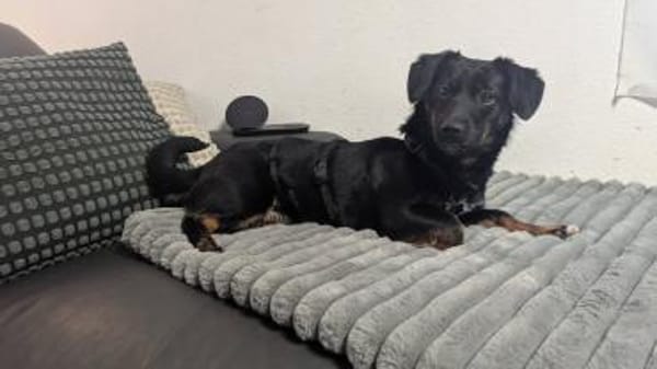 Süße Lea🌺sucht Kuschelflat