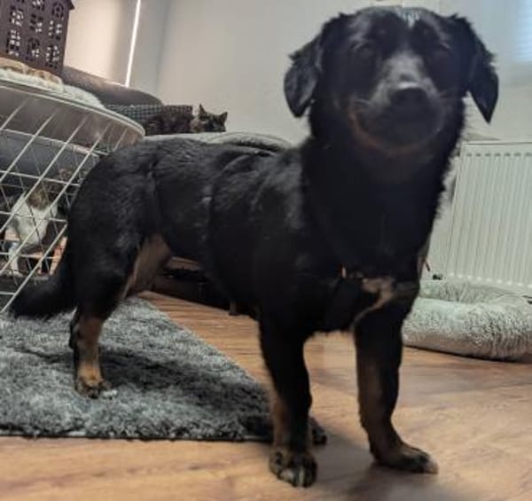 Süße Lea🌺sucht Kuschelflat