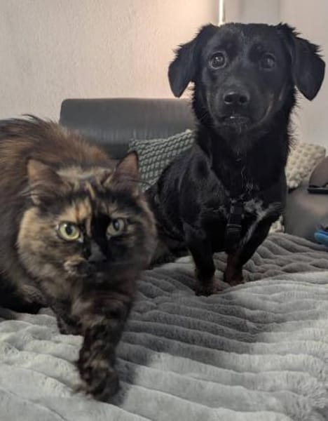 Süße Lea🌺sucht Kuschelflat