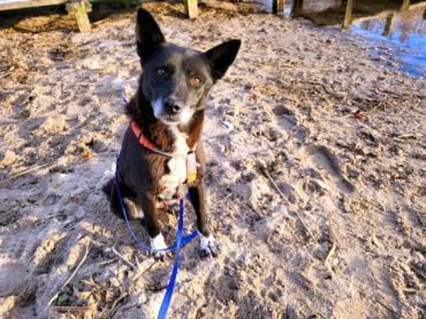 Nuri, so lieb und anhänglich!