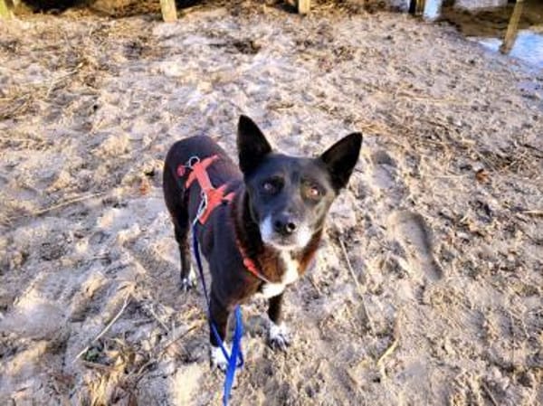 Nuri, so lieb und anhänglich!