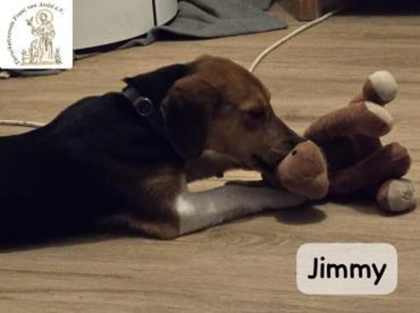 Jimmy  verschmuster Rohdiamant