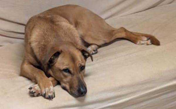 Die süße Finja möchte noch viel erleben