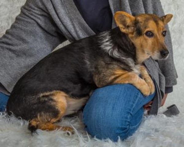 Pita - wünscht sich einen Altersruhesitz