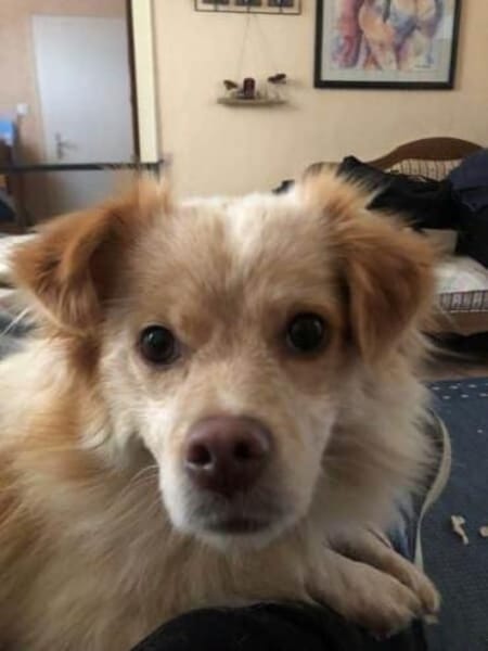 BUTTON -Kleiner, verschmuster Wirbelwind