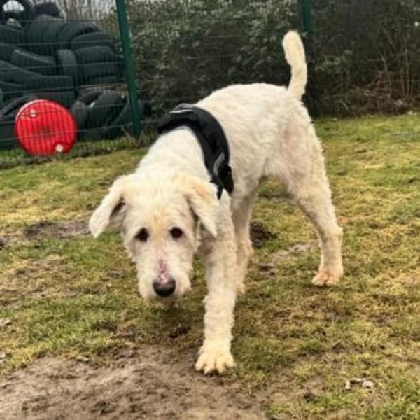 Olivia ❤ sucht dringend Einzelplatz!!!