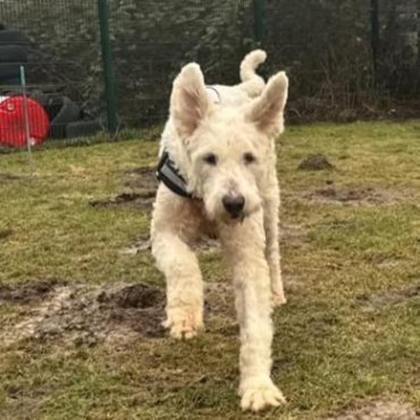 Olivia ❤ sucht dringend Einzelplatz!!!