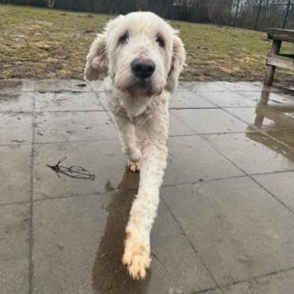 Olivia ❤ sucht dringend Einzelplatz!!!