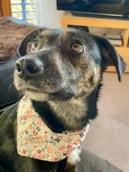 MINOU * vorsichtig, ruhig, offen