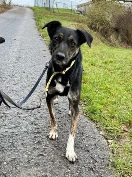 MINOU * vorsichtig, ruhig, offen